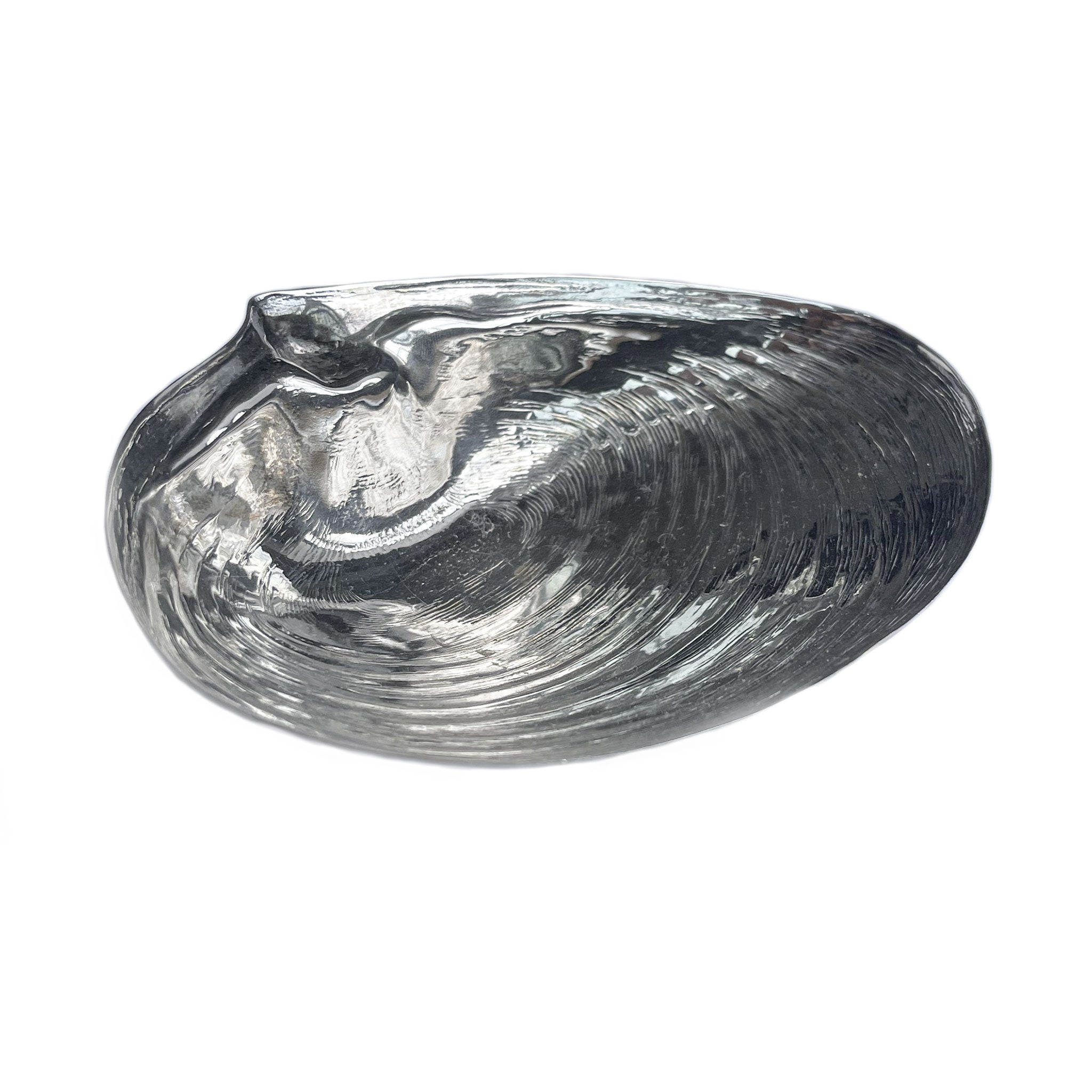 Delicate silver mussel shell plate, 1960s.