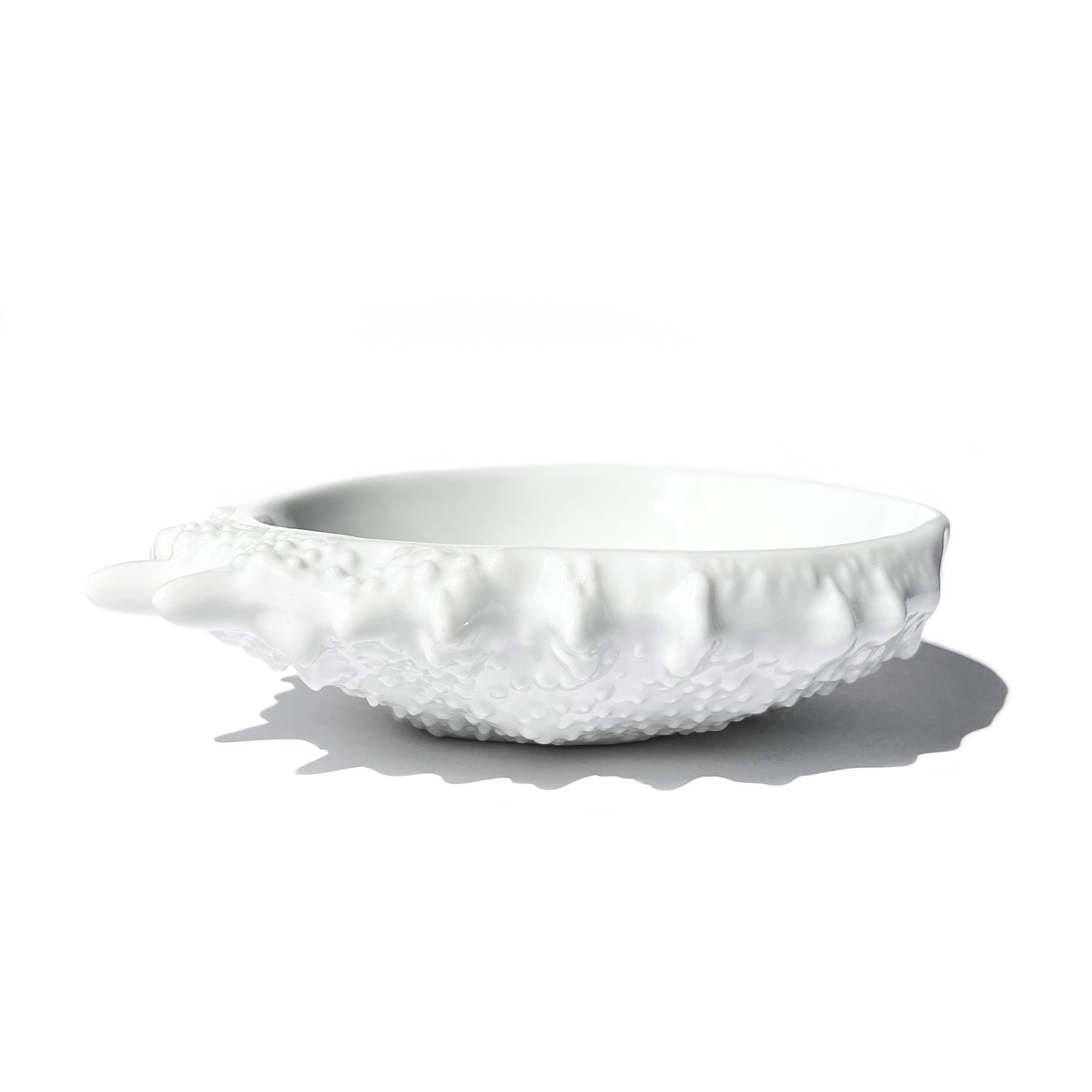 Set of 2 shell ceramic plates — sculptural tableware.